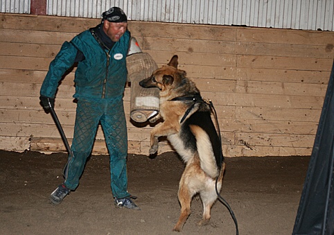 Training in Estonia 3/2007